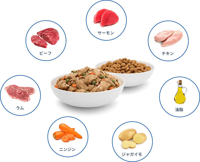食材例: サーモン、チキン、油脂、ジャガイモ、人参、ラム、ビーフ等