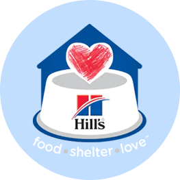 food shelter love