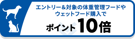 エントリー＆対象のウェットフードとドライフードを両方購入＆条件達成で500ポイントプレゼント