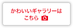 かわいいギャラリーはこちら