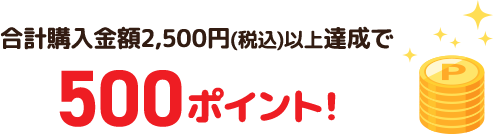 合計購入金額2,500円（税込）以上達成で500ポイント！