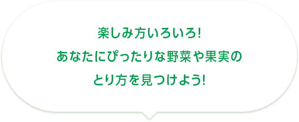 楽しみ方いろいろ！あなたにぴったりな野菜や果実のとり方を見つけよう！