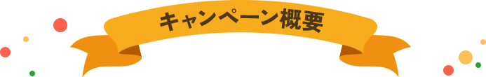 他にもお得なキャンペーン実施中