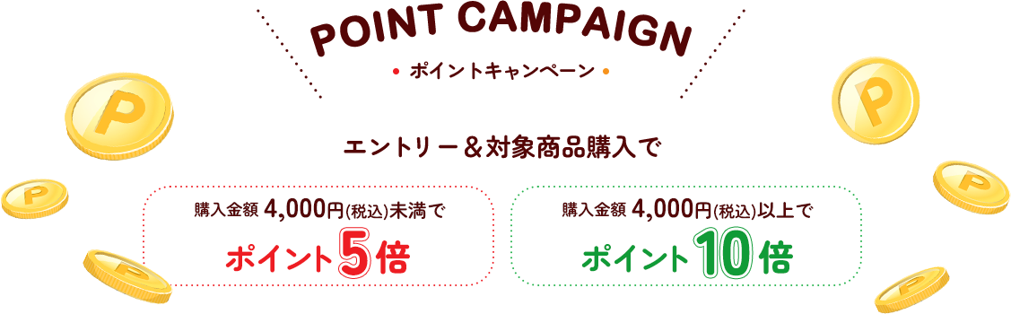 POINT CAMPAIGN