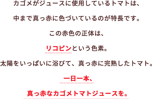 カゴメがジュースに使用しているトマトは、中まで真っ赤に色づいているのが特長です。この赤色の正体は、リコピンという色素。太陽をいっぱいに浴びて、真っ赤に完熟したトマト。一日一本、真っ赤なカゴメトマトジュースを。