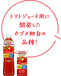 凛々子®はトマトジュース用に開発したカゴメ独自の品種！