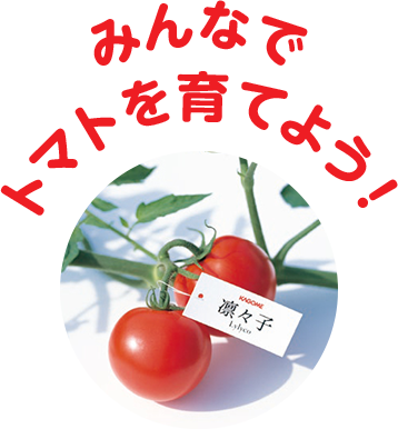 みんなでトマトを育てよう！