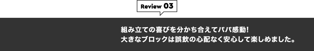 Review 03 組み立ての喜びを分かち合えてパパ感動! 大きなブロックは誤飲の心配なく安心して楽しめました。