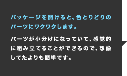 パッケージを開けると、色とりどりのパーツにワクワクします。パーツが小分けになっていて、感覚的に組み立てることができるので、想像してたよりも簡単です。