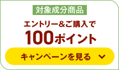 エントリー＆購入で100ポイント