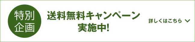 送料無料キャンペーン実施中！