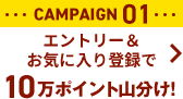 CAMPAIGN01