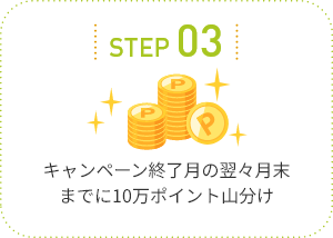 STEP03