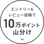 エントリー&レビュー投稿で10万ポイント山分け