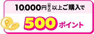 1,0000円（税込み）以上ご購入で500ポイント