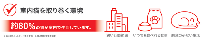 約80%の猫が室内で生活しています。 狭い行動範囲・いつでも食べれる食事・刺激の少ない生活