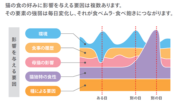 猫の食の好みに影響を与える要因は複数あります。その要素の強弱は毎日変化し、それが食べムラ・食べ飽きにつながります。