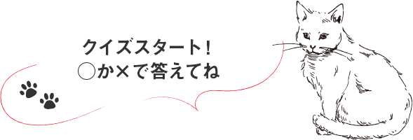 クイズスタート！○か×で答えてね