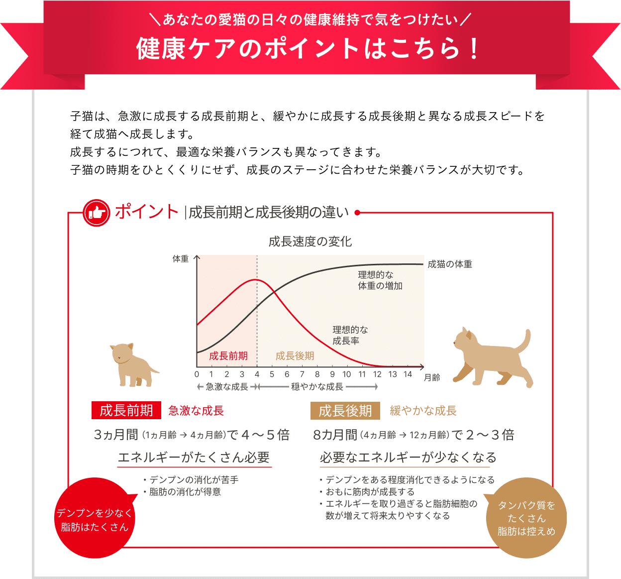 子猫は、急激に成長する成長前期と、緩やかに成長する成長後期と異なる成長スピードを経て成猫へ成長します。成長するにつれて、最適な栄養バランスも異なってきます。成長のステージに合わせた栄養バランスが大切です。