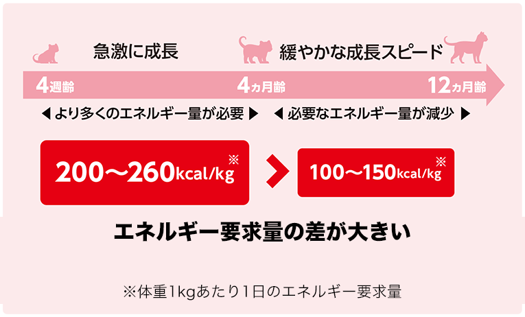 4週齢～4ヵ月齢までは1日あたりのエネルギー要求量の差が大きい