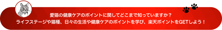 愛猫の健康ケアのポイントに関してどこまで知っていますか？ライフステージや猫種、日々の生活や健康ケアのポイントを学び、楽天ポイントをGETしよう！