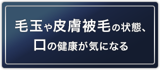 毛玉や皮膚被毛の状態・口の健康が気になる