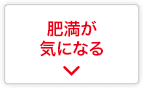 肥満が気になる