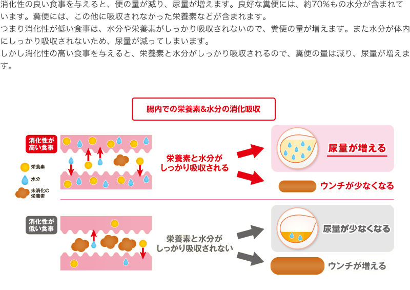 消化性の良い食事を与えると、便の量が減り、尿量が増えます。良好な糞便には、約70%もの水分が含まれています。糞便には、この他に吸収されなかった栄養素などが含まれます。　つまり消化性が低い食事は、水分や栄養素がしっかり吸収されないので、糞便の量が増えます。また水分が体内にしっかり吸収されないため、尿量が減ってしまいます。しかし消化性の高い食事を与えると、栄養素と水分がしっかり吸収されるので、糞便の量は減り、尿量が増えます。