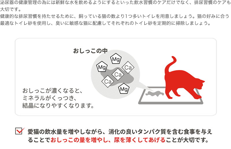 泌尿器の健康管理の為には新鮮な水を飲めるようにするといった飲水習慣のケアだけでなく、排尿習慣のケアも大切です。健康的な排尿習慣を持たせるために、飼っている猫の数より1つ多いトイレを用意しましょう。猫の好みに合う最適なトイレ砂を使用し、臭いに敏感な猫に配慮してそれぞれのトイレ砂を定期的に掃除しましょう。