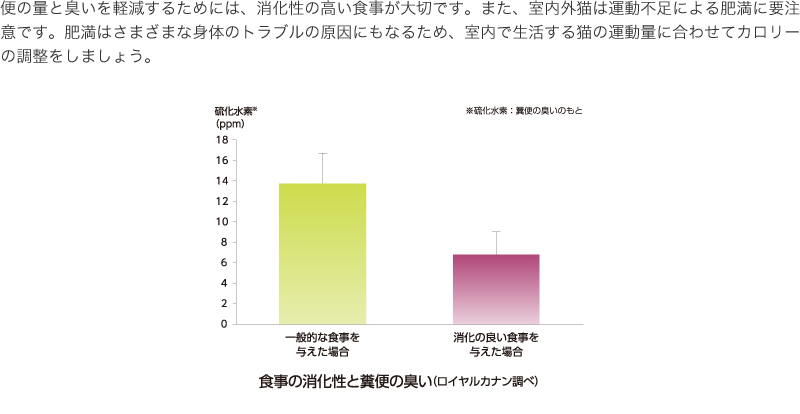 便の量と臭いを軽減するためには、消化性の高い食事が大切です。また、室内外猫は運動不足による肥満に要注意です。肥満はさまざまな身体のトラブルの原因にもなるため、室内で生活する猫の運動量に合わせてカロリーの調整をしましょう。