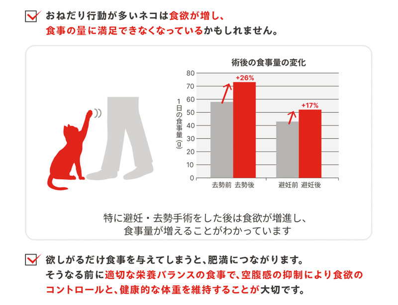 おねだり行動が多いネコは食欲が増し、食事の量に満足できなくなっているかもしれません。欲しがるだけ食事を与えてしまうと、肥満につながります。そうなる前に適切な栄養バランスの食事で、空腹感の抑制により食欲のコントロールと、健康的な体重を維持することが大切です。