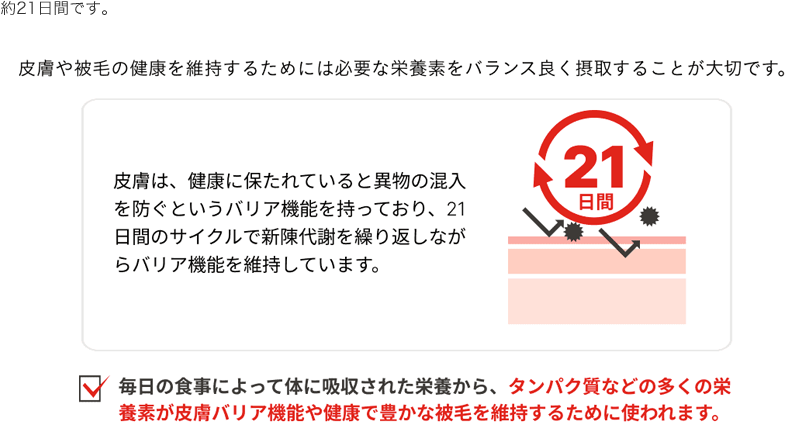 約21日間です。皮膚や被毛の健康を維持するためには必要な栄養素をバランスよく摂取することが大切です。