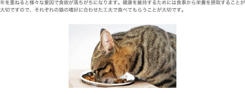 年を重ねると様々な要因で食欲が落ちがちになります。健康を維持するためには食事から栄養を摂取することが大切ですので、それぞれの猫の嗜好に合わせた工夫で食べてもらうことが大切です。