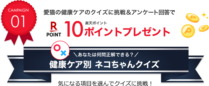 ライフステージ別ネコちゃんクイズ。愛猫のライフステージを選んでクイズに挑戦！