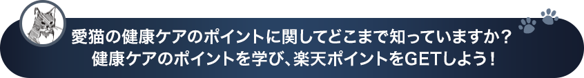 愛猫の健康ケアのポイントに関してどこまで知っていますか？ライフステージや猫種、日々の生活や健康ケアのポイントを学び、楽天ポイントをGETしよう！
