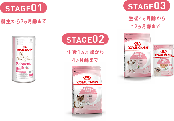 STAGE01 誕生から1ヵ月齢まで  STAGE02 生後1ヵ月齢から4ヵ月齢まで   STAGE03 生後4ヵ月齢から12ヵ月齢まで  