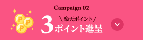 Campaign 02 楽天ポイント 3ポイント進呈