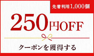 250円OFFクーポンを獲得する